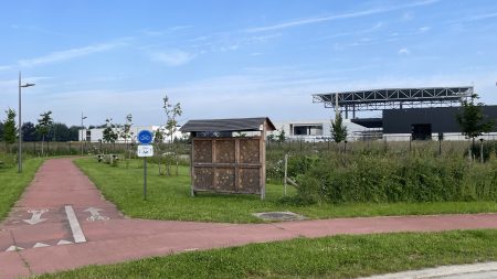 Biodiversiteit op Doorn Noord